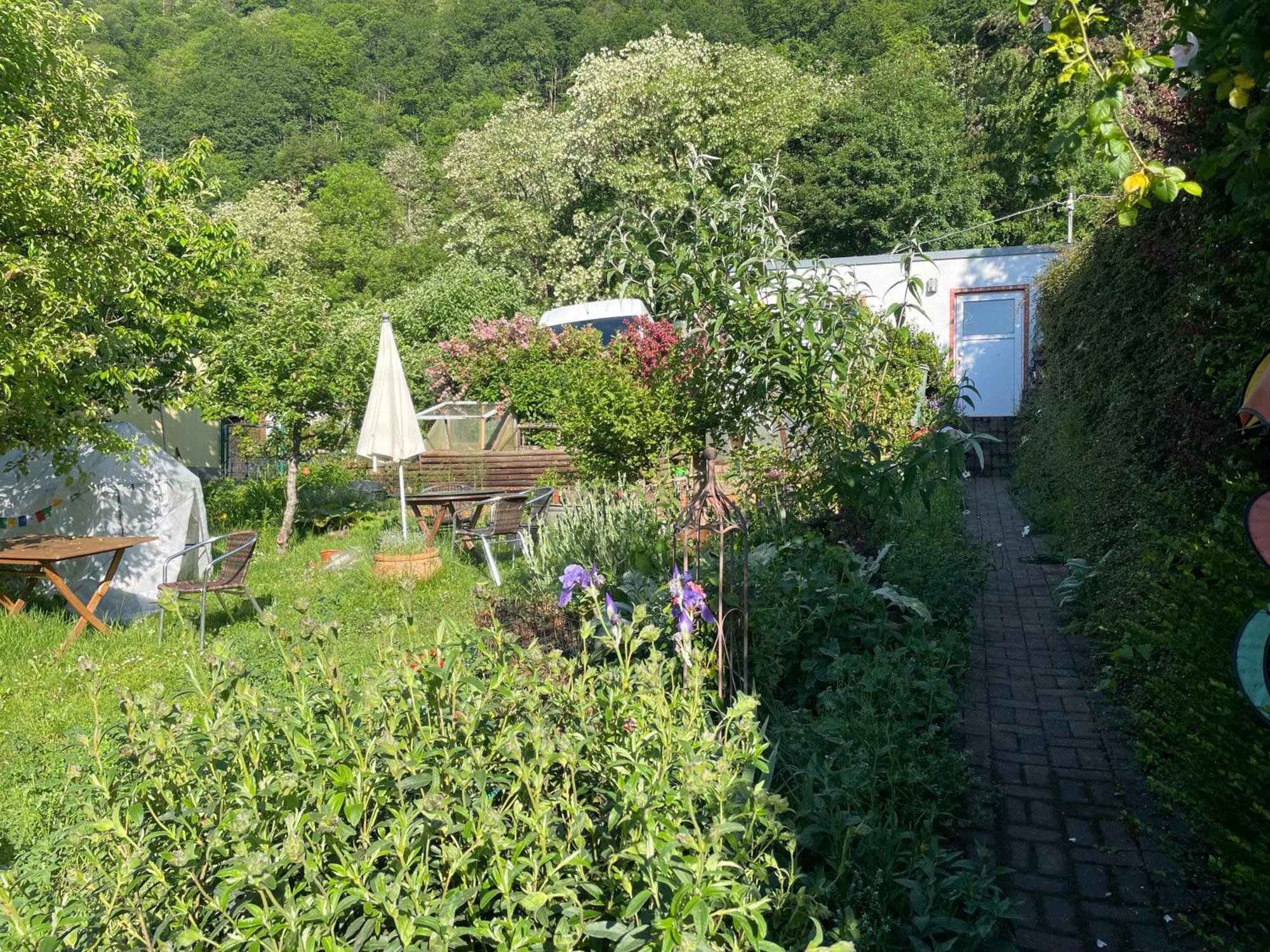 Blick Ins Gruene, Nah Am Zentrum Tréveris Exterior foto